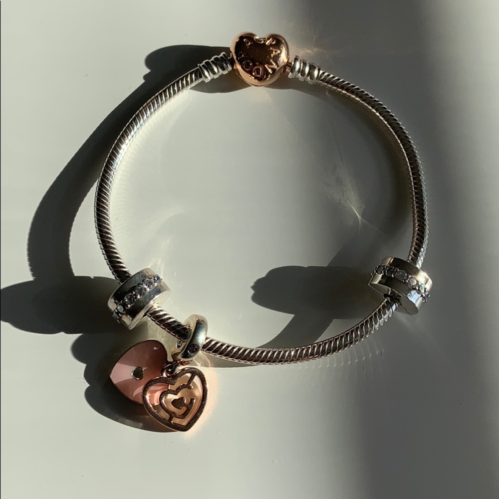 Pandora Charm Bracelet